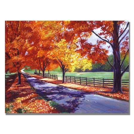 Trademark Fine Art David Lloyd Glover 'October Road' Canvas Art, 18x24 DLG0185-C1824GG